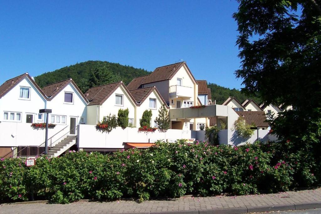 SeglerFewo mit traumhaftem Blick vom Balkon Scheid  Exterior foto